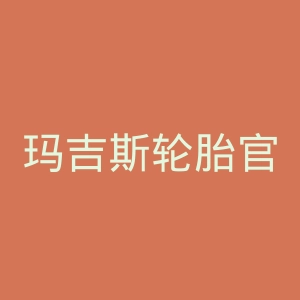 玛吉斯轮胎官网