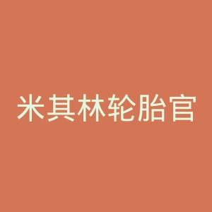 米其林轮胎官网