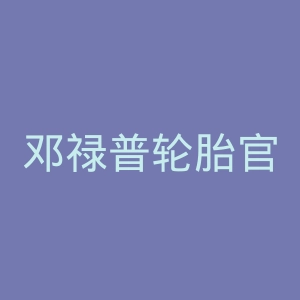 邓禄普轮胎官网