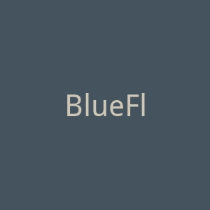 BlueFly官网