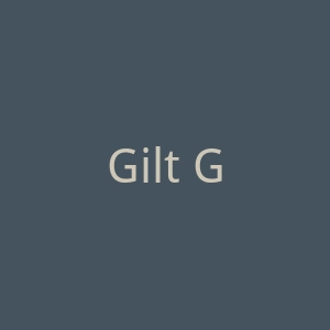 Gilt Groupe官网