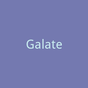 Galateacasa官网