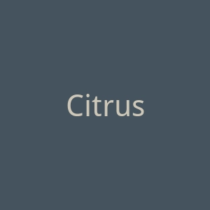 Citruslane官网