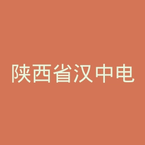 陕西省汉中电视台官网