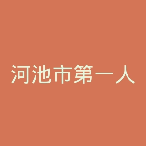 河池市第一人民医院官网
