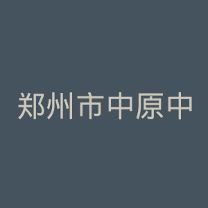 郑州市中原中医院官网