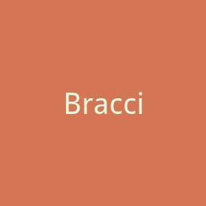 Braccialini官网