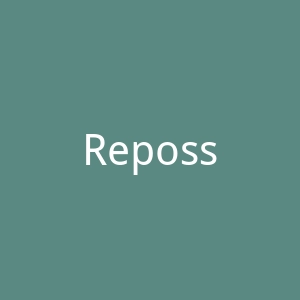 Repossi雷波西官网