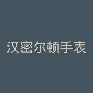 汉密尔顿手表官网