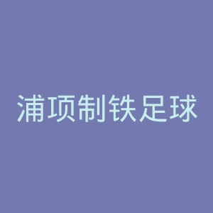浦项制铁足球俱乐部官网