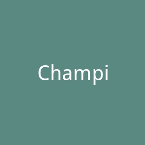 Champion官网