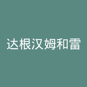 达根汉姆和雷德布里奇足球俱乐部官网