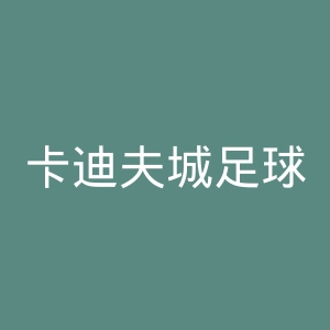 卡迪夫城足球俱乐部官网