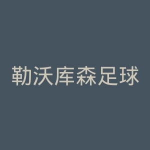 勒沃库森足球俱乐部官网
