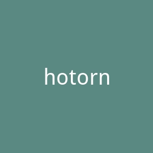 hotornot官网