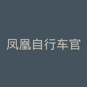 凤凰自行车官网