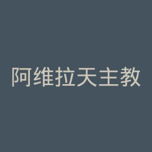 阿维拉天主教大学官网