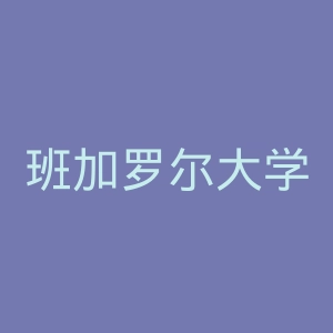 班加罗尔大学萨格学院官网