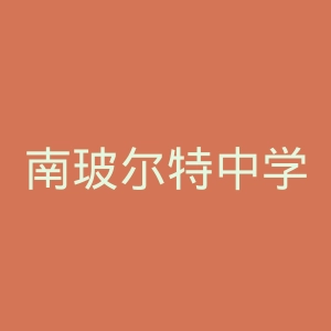 南玻尔特中学官网